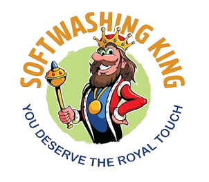 Softwashing King Logo